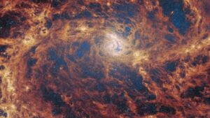 JWST May Have Found a Supermassive Black Hole in the Southern Pinwheel Galaxy